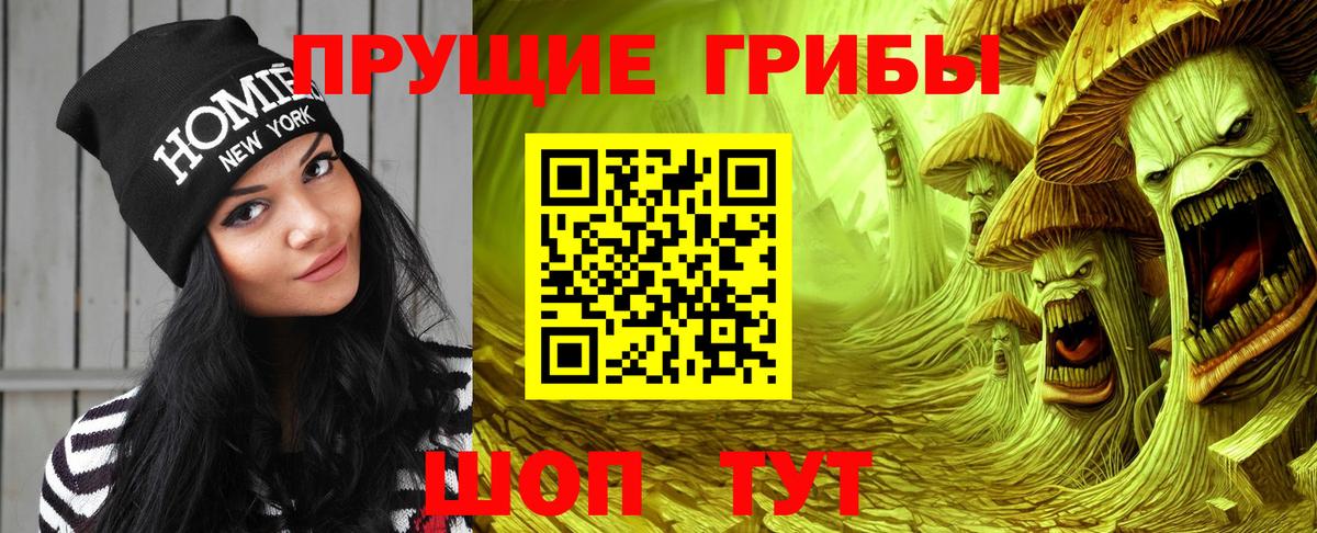 Галлюциногенные грибы прущие грибы Балтийск